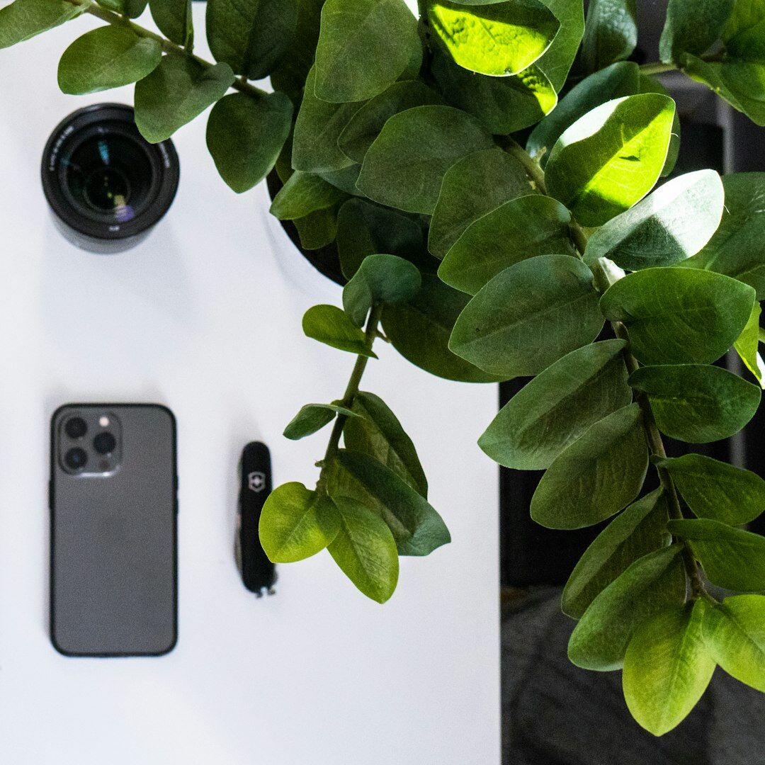 Top view of desk with documents, coffee and plant